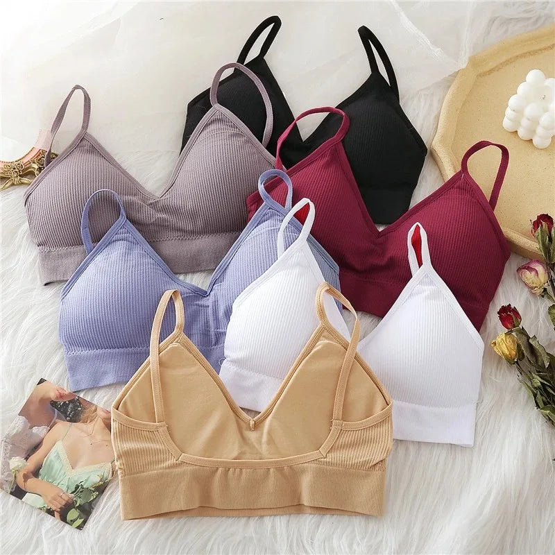 Territory Seamless Top Women Sexy Tank Tops Women Underwear Strap Crop Top Female Lingerie Intimates With Removable Pad Bralette S-XL