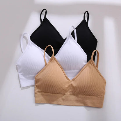 Territory Seamless Top Women Sexy Tank Tops Women Underwear Strap Crop Top Female Lingerie Intimates With Removable Pad Bralette S-XL